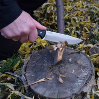 BPSKnives Raven SSH nôž